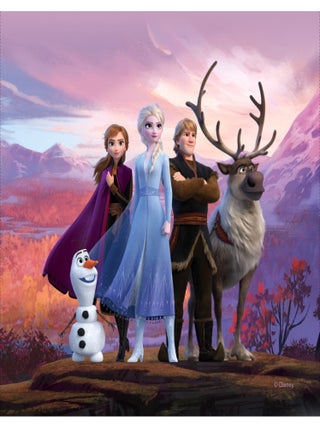 Coussin Disney La Reine des Neiges 2 dans la forêt 40x40 cm
