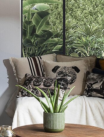 Coussin en coton DOGGY frangé 'Deko&co'