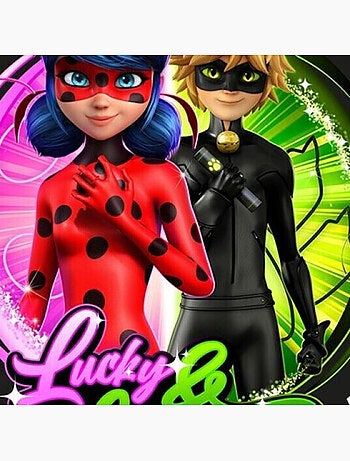 Coussin en Forme de Lady Bug