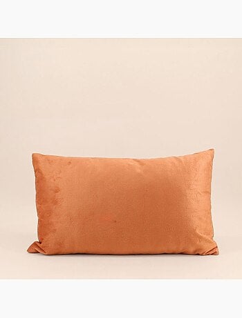 Coussin en velours à motifs 30x50cm