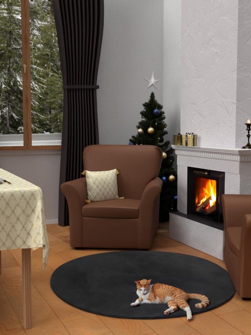 Coussin festif en pur coton 40x40 cm CELESTE or, par Soleil d'Ocre - Kiabi