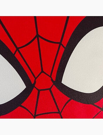 Coussin forme imprimé 100% polyester, spiderman hero head