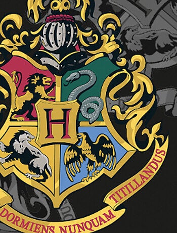 Coussin Harry Potter Blason avec poche 40x40 cm