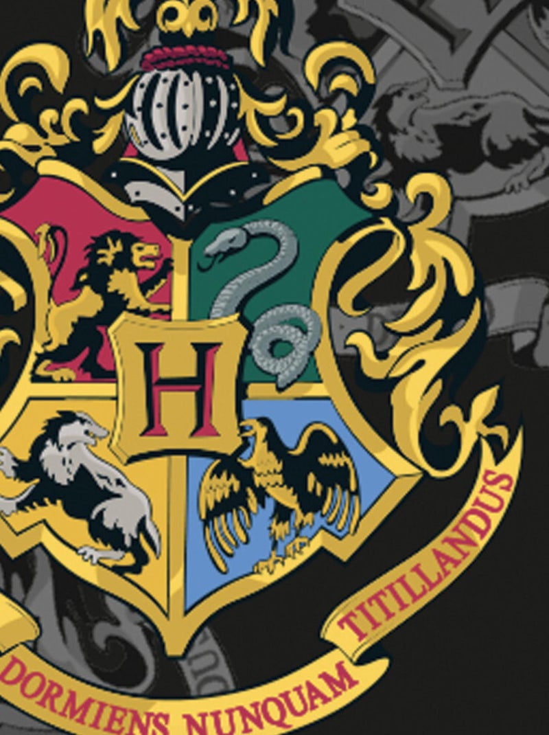 Coussin Harry Potter Blason avec poche 40x40 cm Bleu - Kiabi