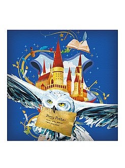 Coussin 'Harry Potter' - Kiabi