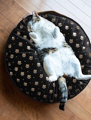 Coussin moelleux Tigrou pour chat et chien