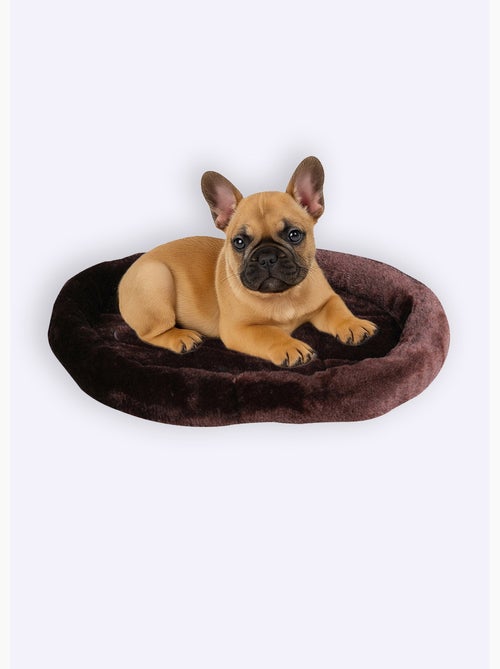 Coussin ovale tout doux pour animaux - Kiabi