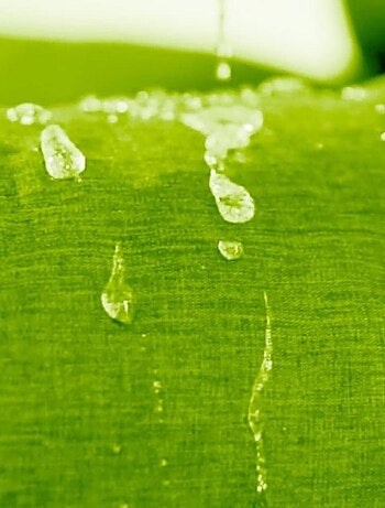 Coussin Palette en polyester - Bananair