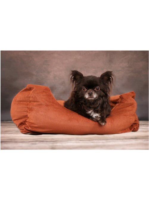 Coussin panier côtelé Rectangle - Kiabi