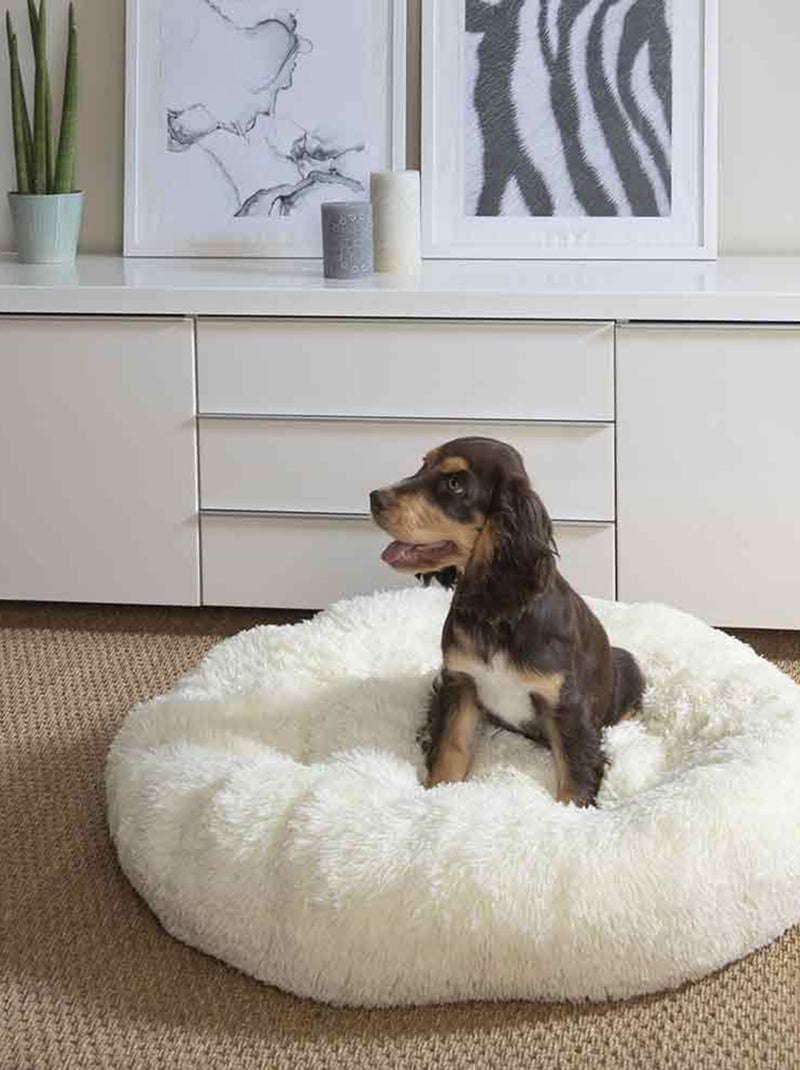 Coussin rond douillet pour chien et chat Ecru - Kiabi