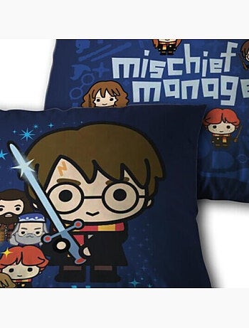 Coussin Saga Harry Potter avec Harry et autres personnages 35x35 cm