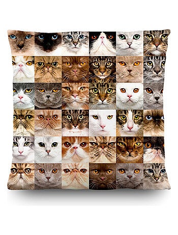 Coussin tête de chat - 45 cm x 45 cm