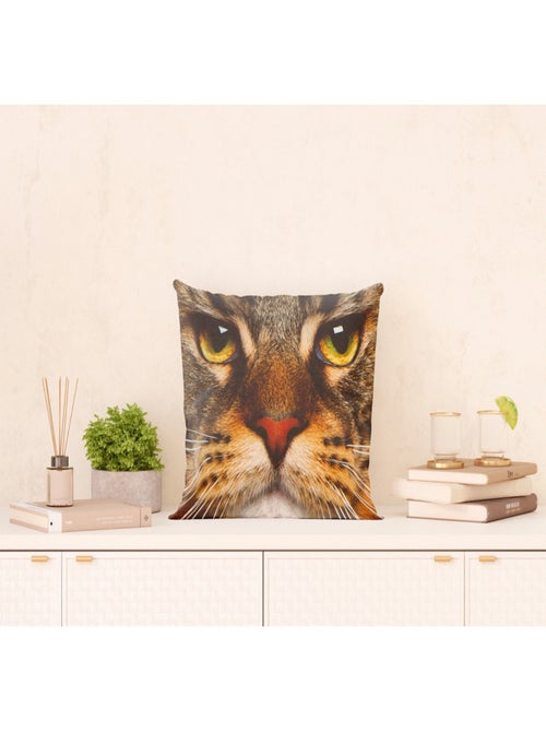 Coussin tête de chat - 45 cm x 45 cm - Kiabi