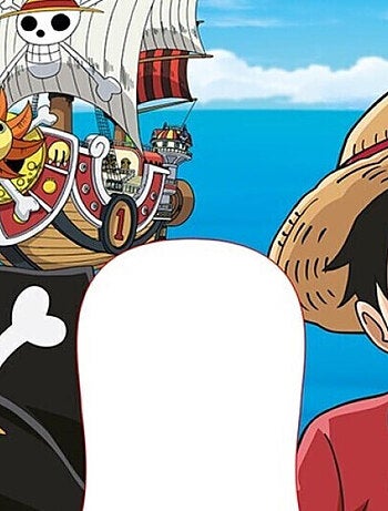 Coussin Tour de Cou - One Piece