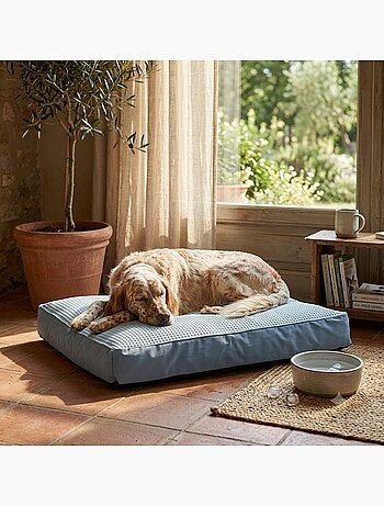 Coussin varga rafraichissant pour chien