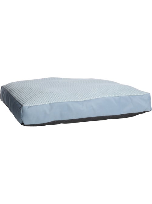 Coussin varga rafraichissant pour chien - Kiabi Coussin varga rafraichissant pour chien - Kiabi