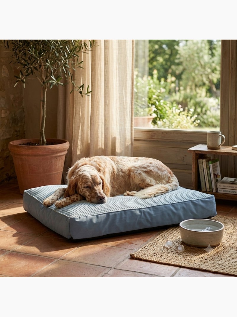 Coussin varga rafraichissant pour chien Bleu - Kiabi