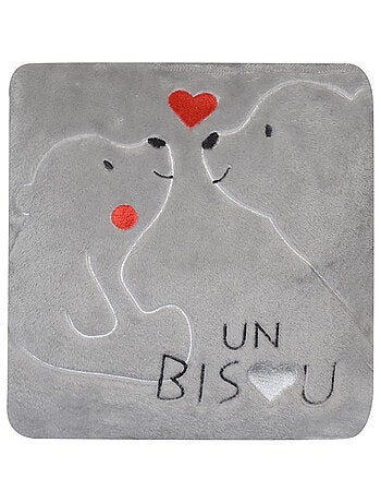 COUVERTURE COUSSIN FRIBOURG