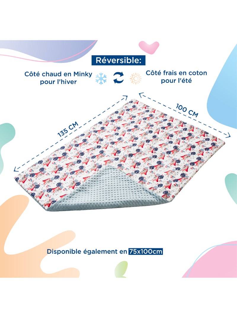 Couverture enfant en Coton Oeko-tex et Minky | SUPERBE BEBE Gris - Kiabi