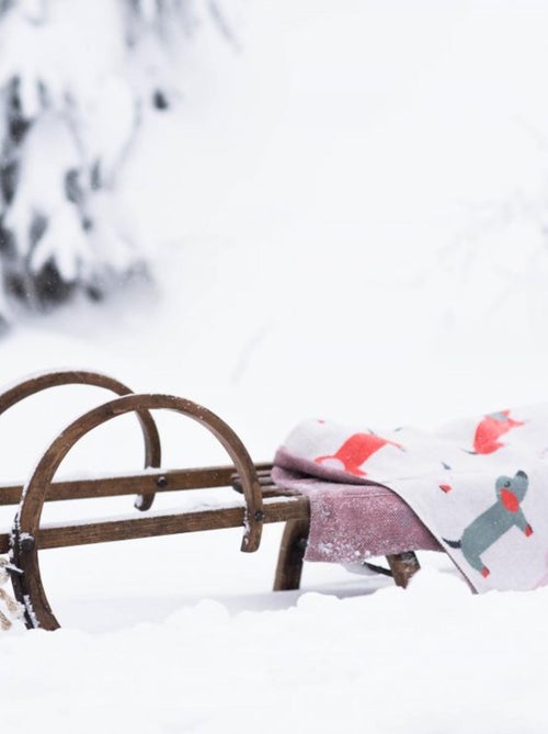 Couverture  Gots, Teckel SEVIRA KIDS - Kiabi