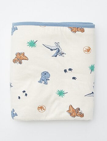 Couverture 'Jurassic Explorers'