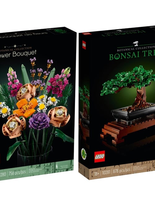 Creator Expert lot de 2 articles - Bouquet de fleura et arbre Bonsai - Kiabi