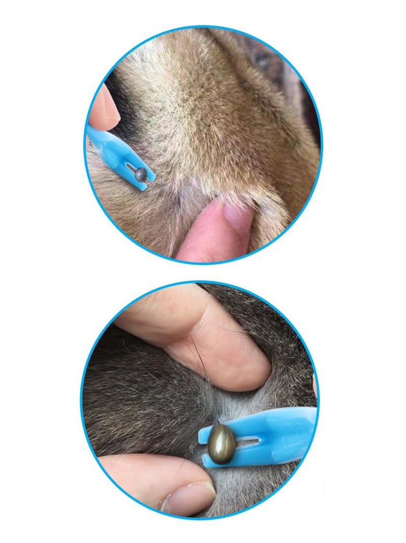 Crochets tire tiques pour animaux Bleu - Kiabi