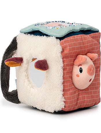 Cube d'activités Louis le loup