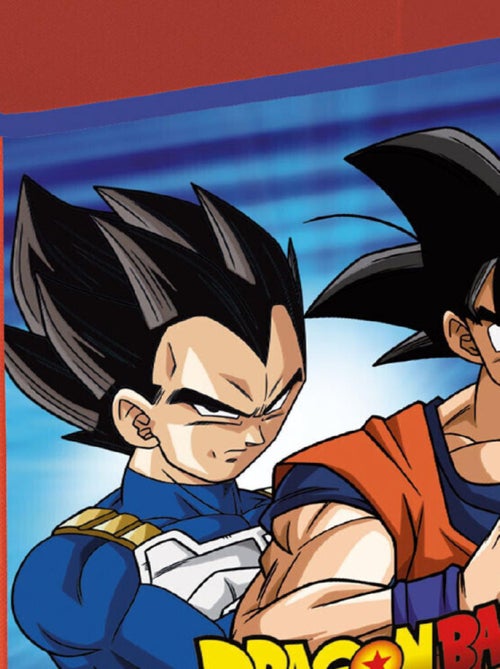 Cube de rangement - Dragon Ball Z - 31x31x31 cm - Kiabi