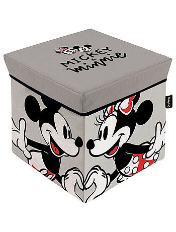 Cube de rangement avec Couvercle - Disney Mickey & Minnie Amoureux - 30x30x30 cm