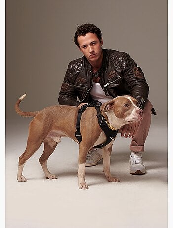 Cuir /marron Nitro Barcelona Redskins