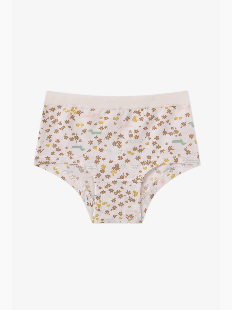 Culotte hipster fille glow à imprimé chien penti Marron - Kiabi
