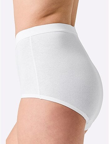 Culotte Taille Haute Jersey Fin - Taille Standard - Witt - Lot de 3