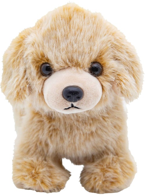 Cute | Peluche chien doudou ultra doux Nougat - Kiabi