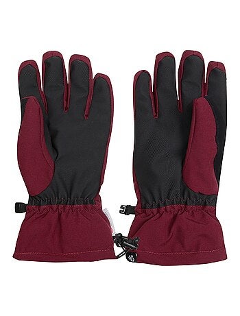 Dare 2B - Gants de ski CHARISMA