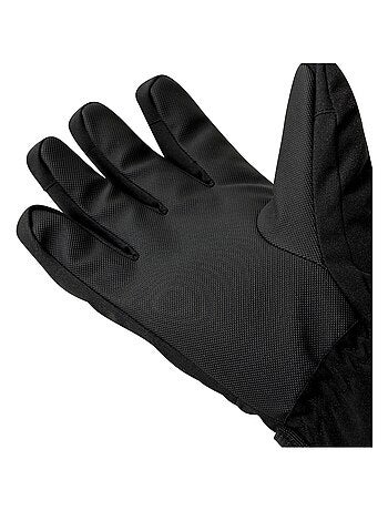 Dare 2B - Gants de ski PINNACLE
