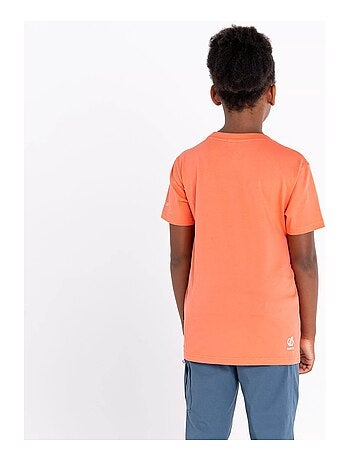 Dare 2B - T-shirt TRAILBLAZER