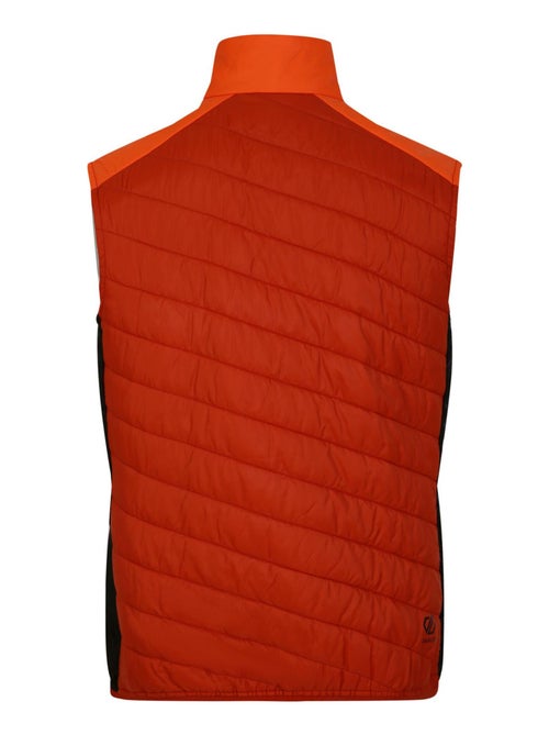 Dare 2B - Veste sans manches TOURING - Kiabi