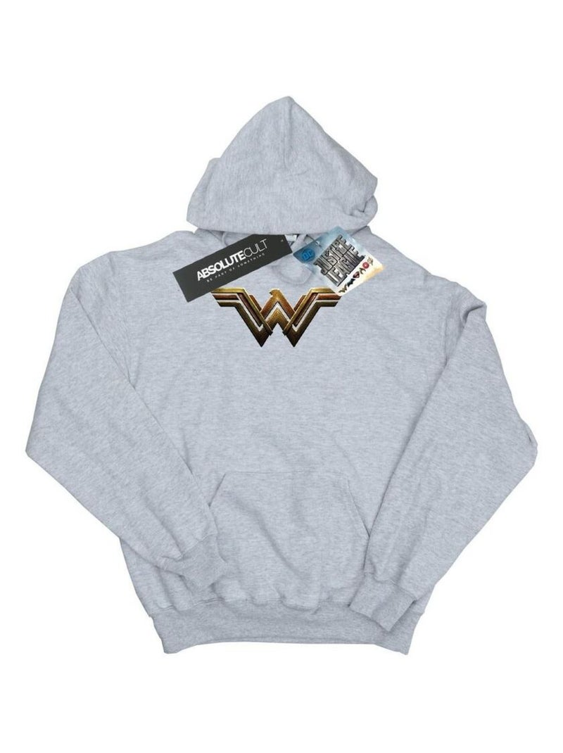 DC Comics - Sweat à capuche JUSTICE LEAGUE Gris chiné - Kiabi