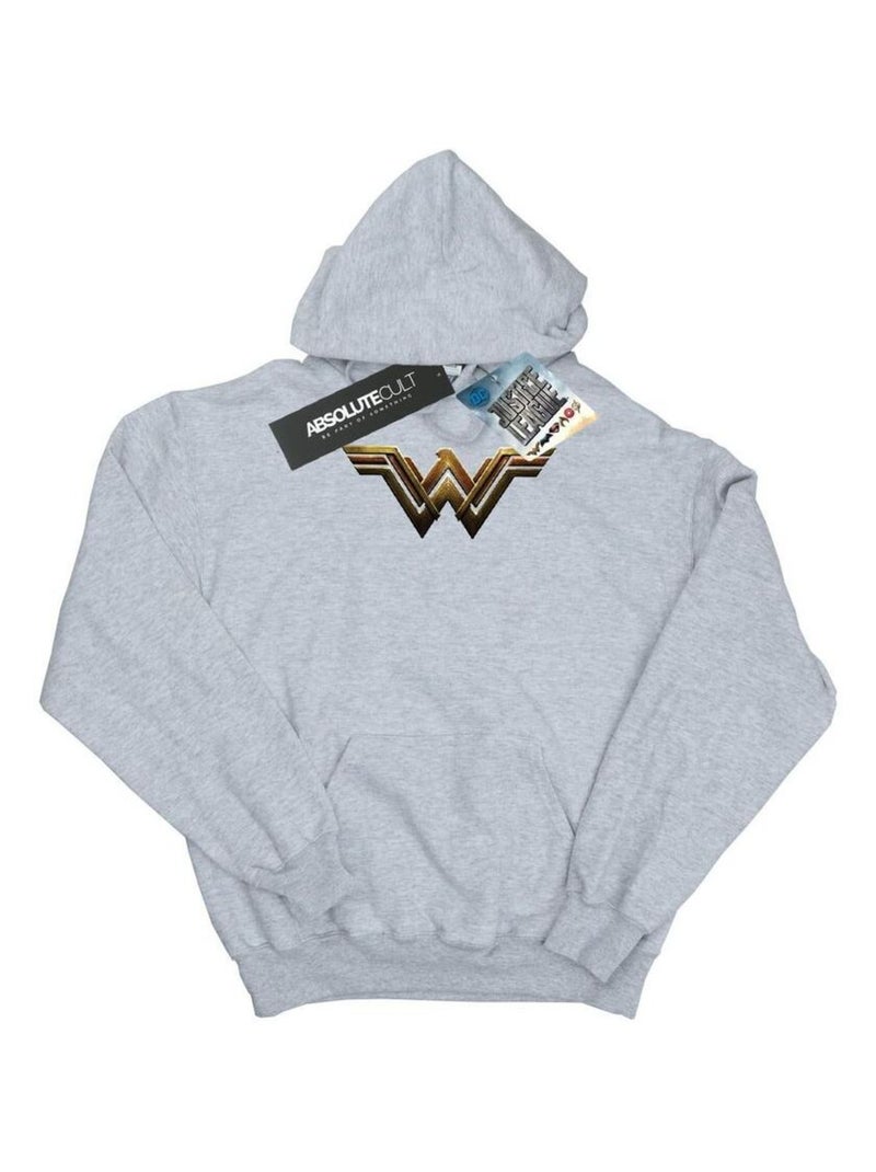 DC Comics - Sweat à capuche JUSTICE LEAGUE Gris chiné - Kiabi
