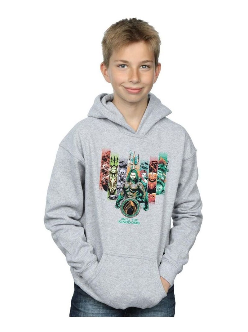 DC Comics - Sweat à capuche UNITE THE KINGDOMS Gris chiné - Kiabi