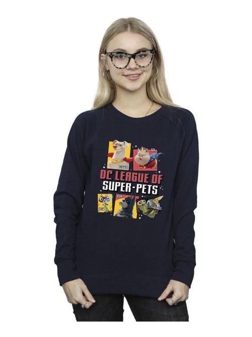 DC Comics - Sweat DC LEAGUE OF SUPER-PETS - Kiabi
