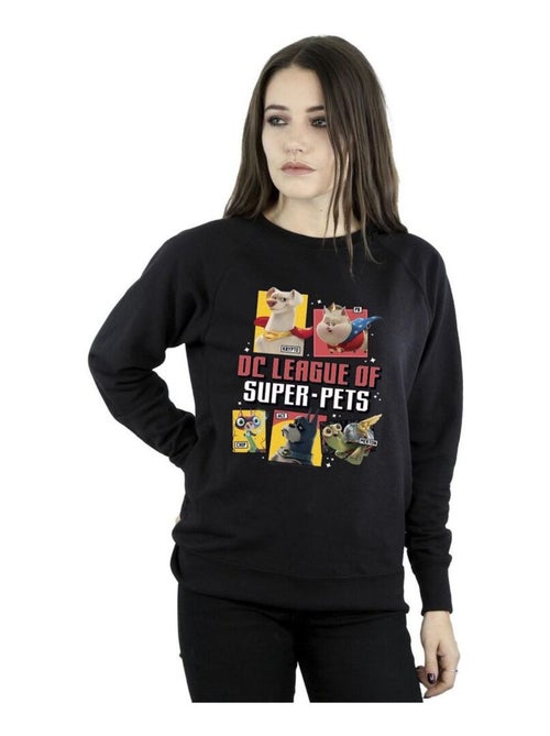DC Comics - Sweat DC LEAGUE OF SUPER-PETS - Kiabi