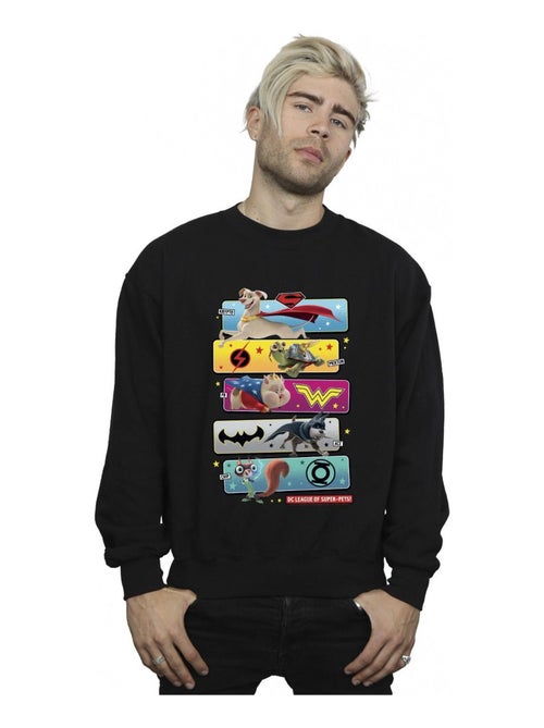 DC Comics - Sweat DC LEAGUE OF SUPER-PETS - Kiabi