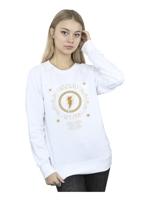 DC Comics - Sweat FURY OF THE GODS - Kiabi