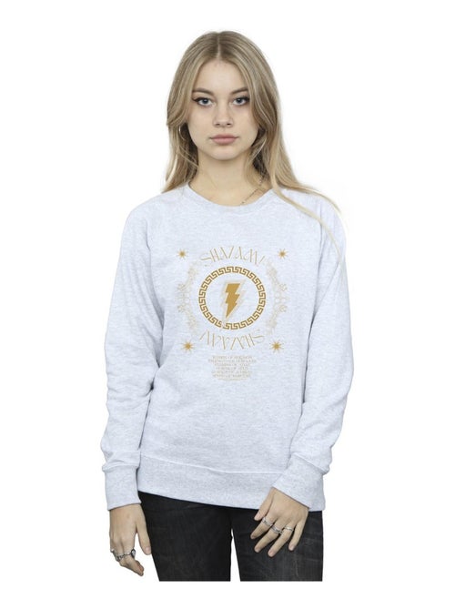 DC Comics - Sweat FURY OF THE GODS - Kiabi