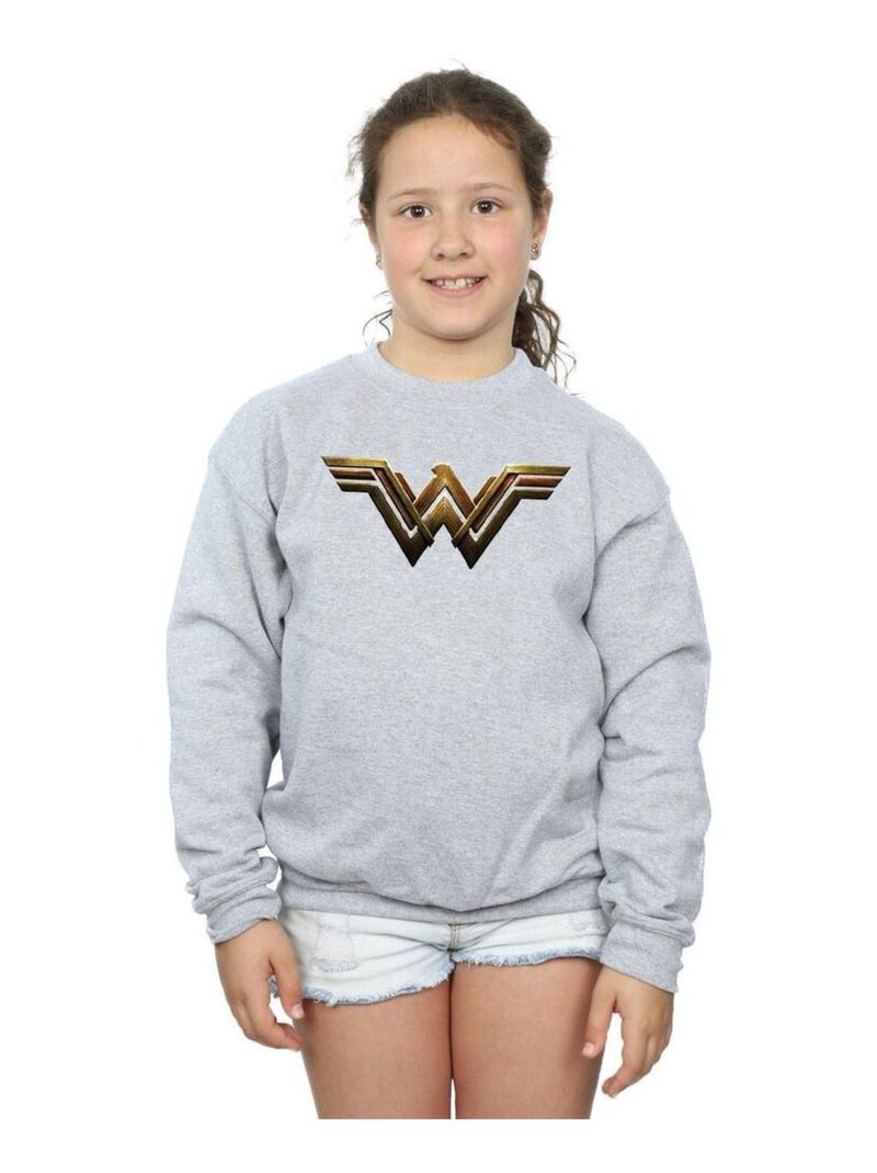 DC Comics - Sweat JUSTICE LEAGUE Gris chiné - Kiabi