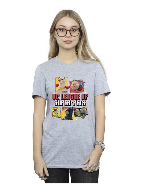 DC Comics - T-shirt DC LEAGUE OF SUPER-PETS - Kiabi