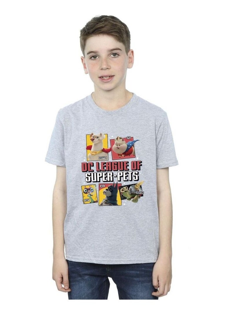 DC Comics - T-shirt DC LEAGUE OF SUPER-PETS Gris chiné - Kiabi