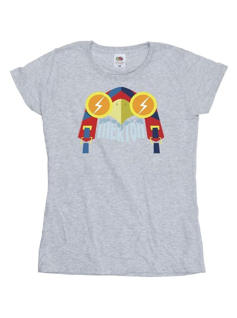 DC Comics - T-shirt DC LEAGUE OF SUPER-PETS Gris chiné - Kiabi